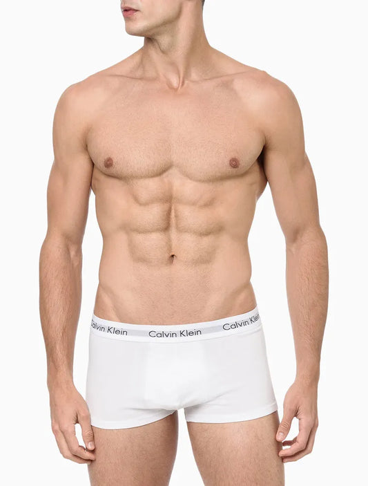 [BUY 1 GET 2 FREE] Trunk Classic Low Waist Briefs with Elastic Spandex Underwear